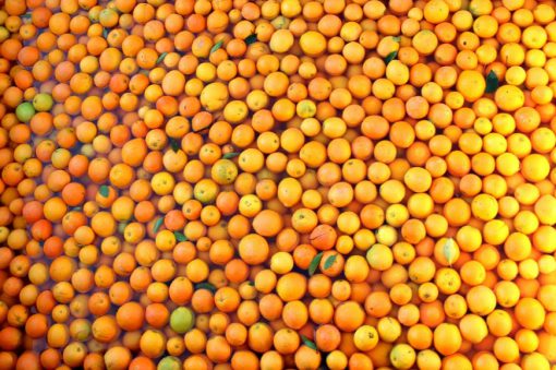 Brazil Orange Production
