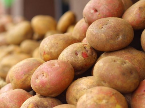 Poland Potatoes