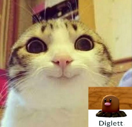 Cat Looks Like a Diglett