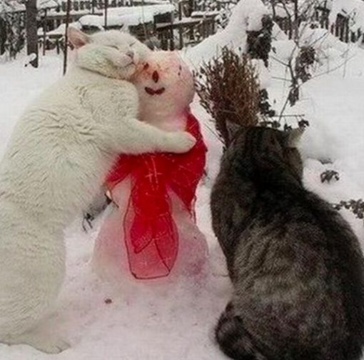 Cat Rubbing on a Snowman