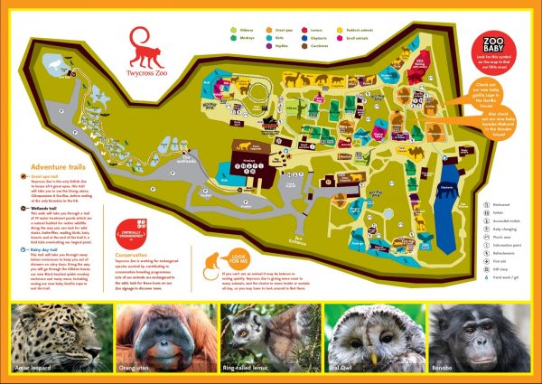 Twycross Zoo Map