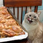 Ten Cats Licking Their Lips About to Eat All Your Food