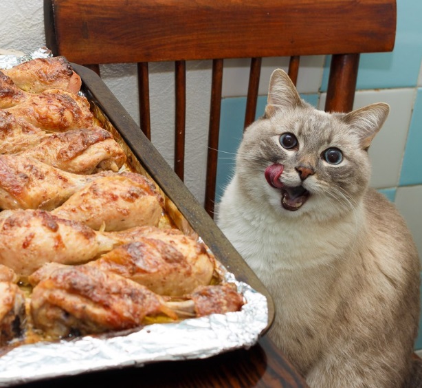 Ten Cats Licking Their Lips About to Eat All Your Food