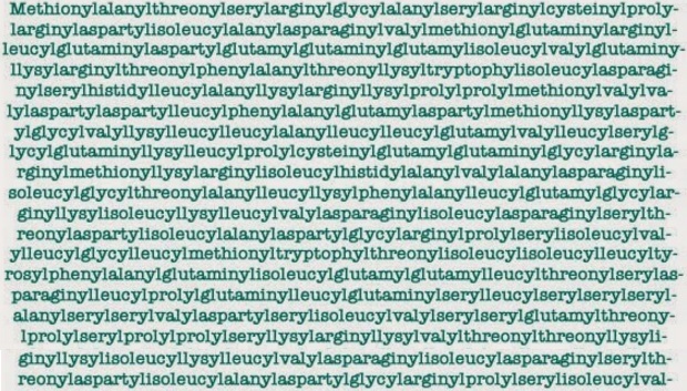 The Top 10 Longest  Words  in the English  Language