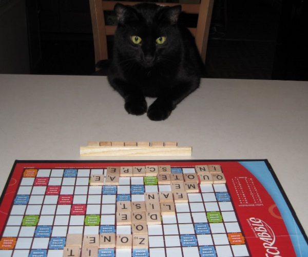 The Top 10 Highest Scoring 7 Letter Words You Use In Scrabble