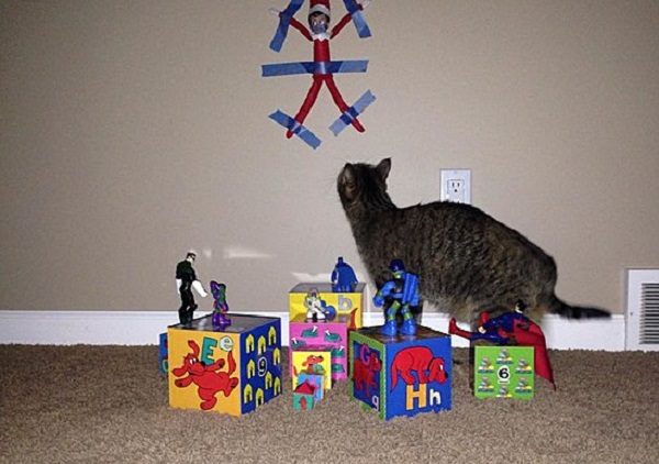 This Cat Thinks the Elf on the Shelf Is Better Off Stuck to the Wall