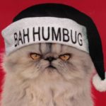 Ten Cats Who Completely Ruined Christmas for Everyone