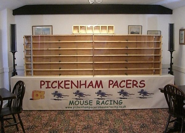 Mouse Racing