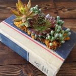 Ten Amazing Things to Can Make and Do With Old Books
