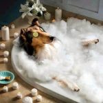 Ten Dogs Who Love Having a Bath More Than Their Owners