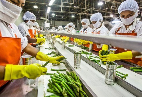 Food Processing Investment Opportunities in Asia