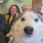Ten of the Very Best Animal Photobombs You Will Ever See