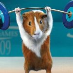 Ten Guinea Pigs Doing Human Things and Helping Out