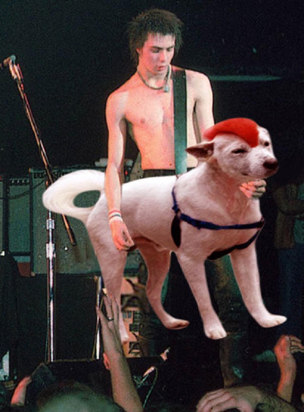 Sid Vicious Playing Dog Bass