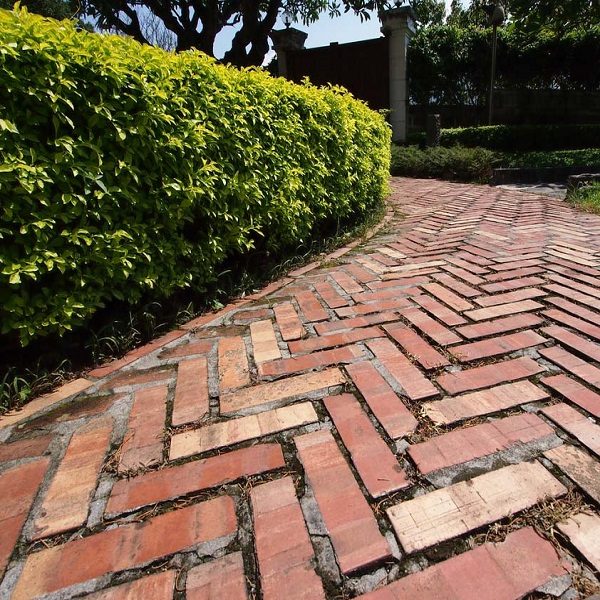 A Garden Path Made With Bricks