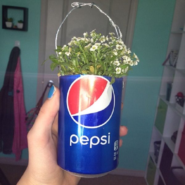 Pepsi Can Planter