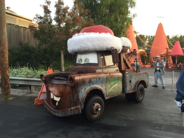 santa hat for car roof