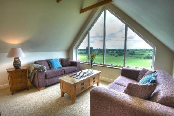 Turn Your Loft Conversion Into a Reading Room