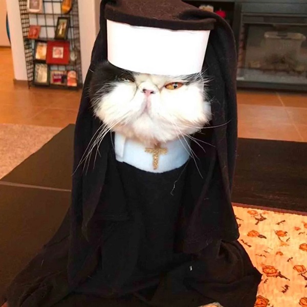 Pet in Nun Costume