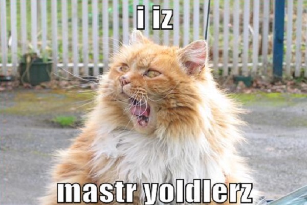 Yodeling Cat