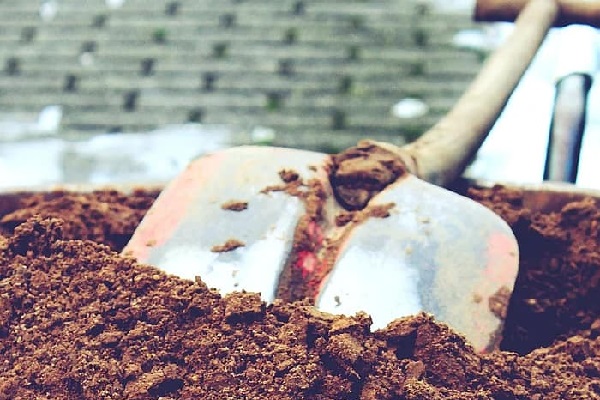 Ways to Make Sure Your Yard Always Looks Fresh - Choose the Right Soil