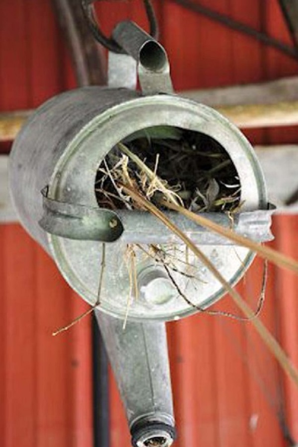 An Old Watering Can Used to Make a Birdhouse