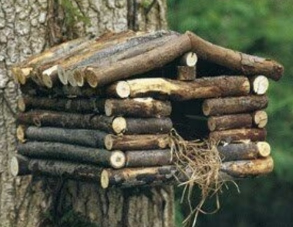 Twigs Used to Make a Birdhouse