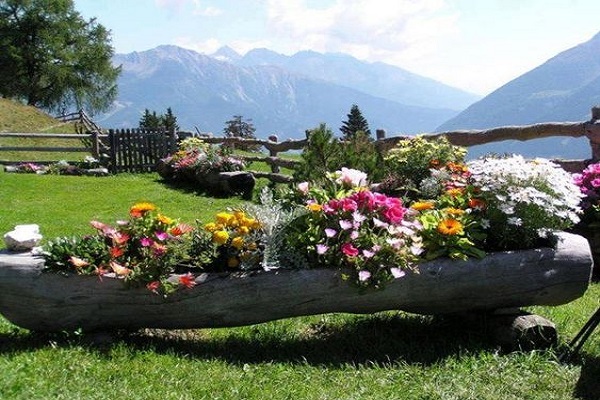 Large Garden Planter Made From a Tree Trunk