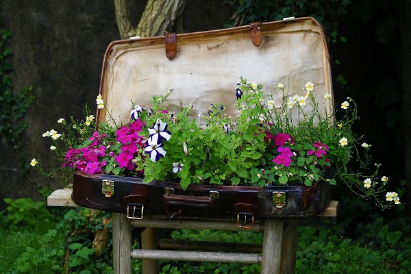 Large Garden Planter Made From a Suitcase