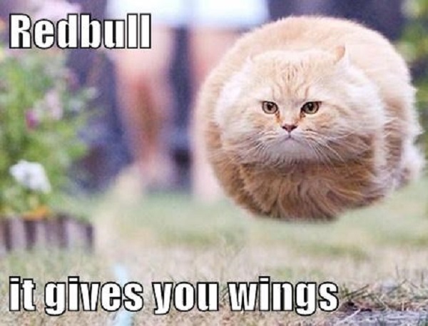 The Customer That Sued Red Bull For “Not Giving Him Wings”