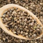 The Ten Main Trace Elements of Cannabis Seeds
