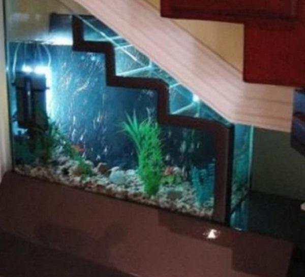 Aquarium Under Staircase