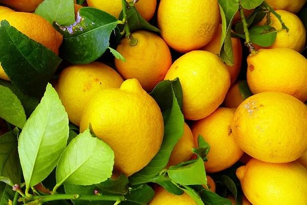 Ten Amazing Things You Can Do With Lemons At Home (Apart From Making Lemonade)