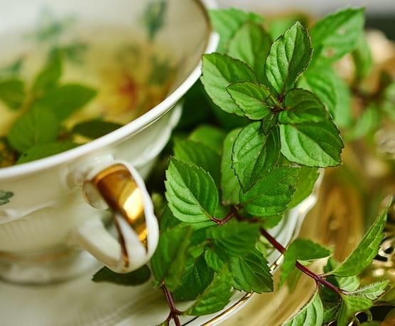 Mint/Peppermint Tea