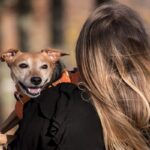 Top 10 Mistakes Dog Owners Make