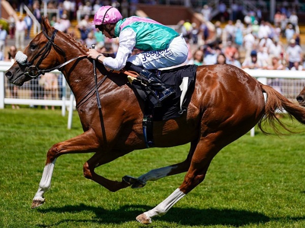 10 Longest Odds Outsiders to Win in Horse Racing
