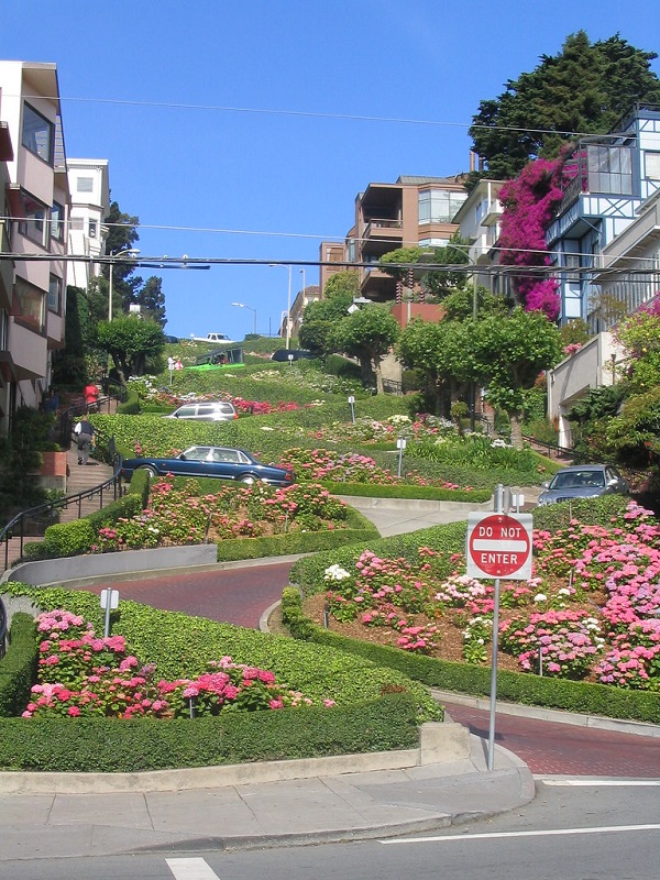 Lombard Street-San Francisco