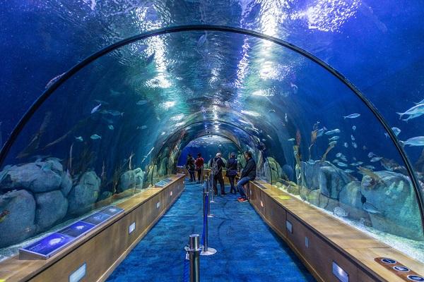 L'Oceanogràfic, in Valencia, Spain