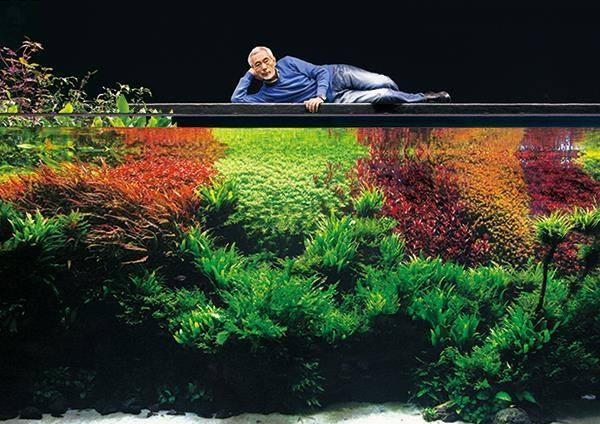 Takashi Amano, Aquascaping