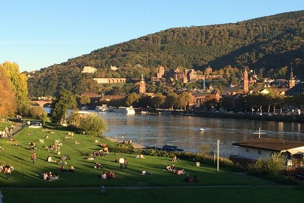 Neckar River Park (Neckarwiese)